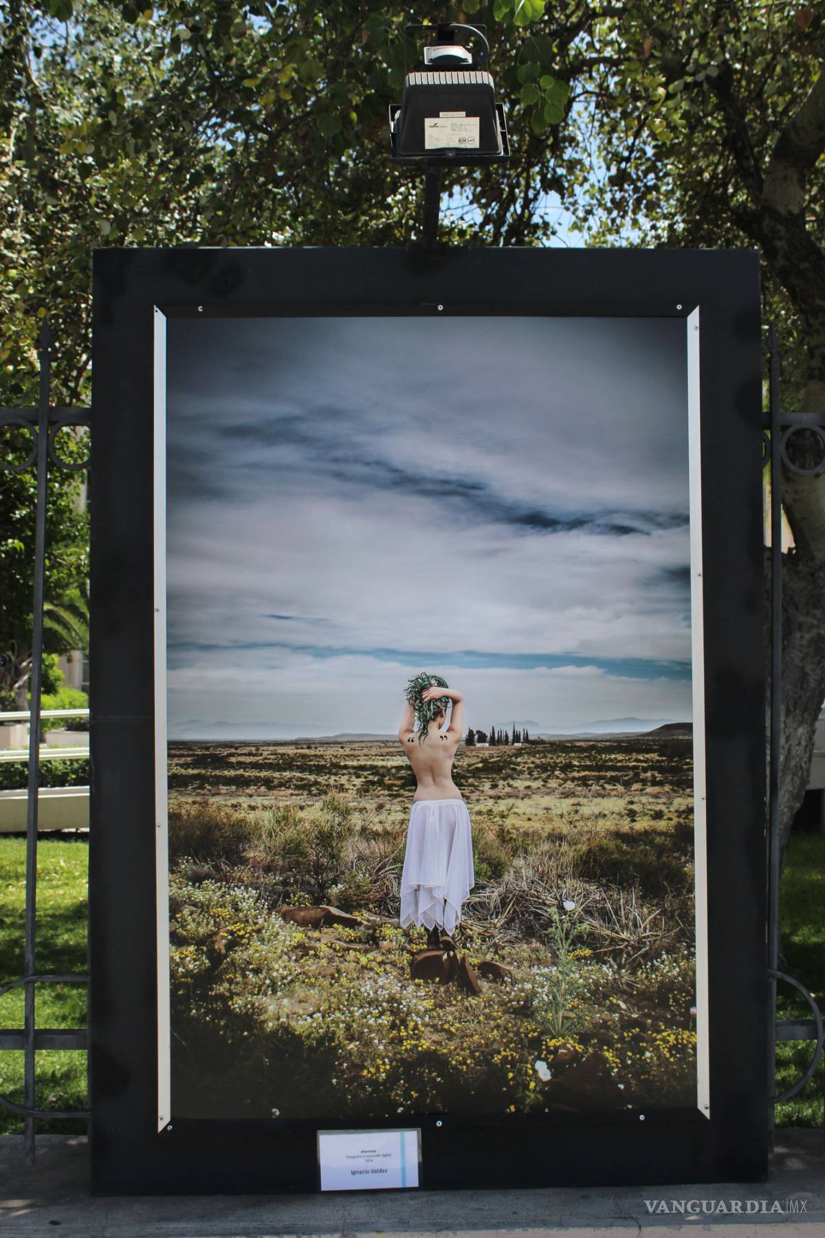 $!Un vistazo artístico a nuestra cotidianidad