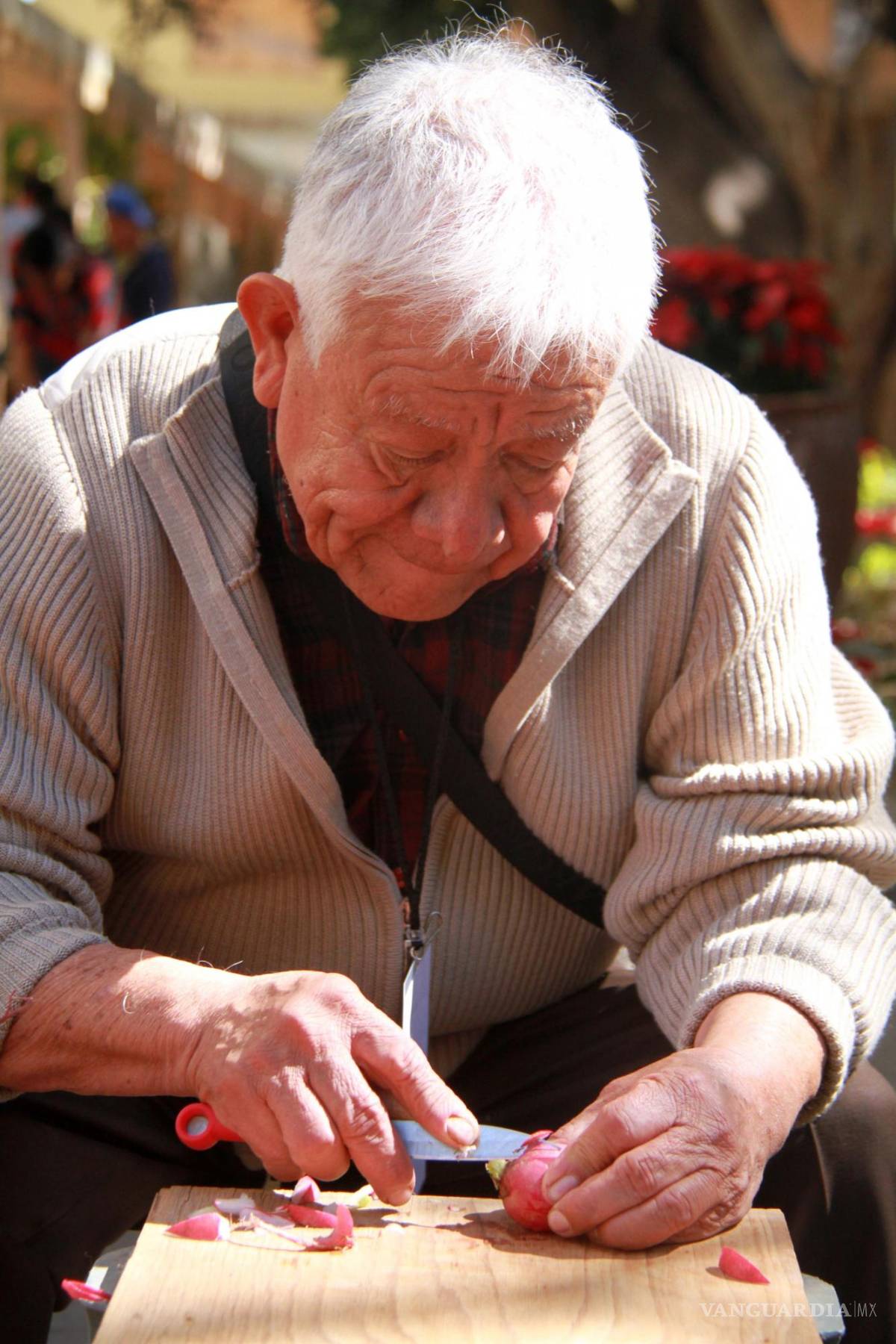 $!Si visitas Oaxaca en diciembre, no te pierdas esta experiencia mágica en la Plaza de la Constitución, donde podrás admirar las asombrosas esculturas de rábanos y sumergirte en la rica cultura de la región.