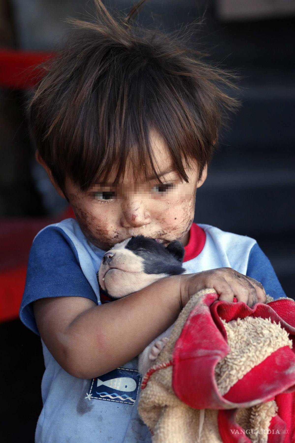 $!Saltillo: ¿Qué anhela un niño que espera la Navidad entre pinos de madera y esferas recicladas?