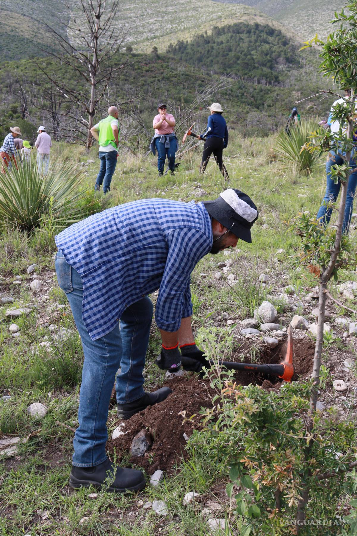 $!Tupy refrenda su compromiso de responsabilidad social y ambiental en México y Brasil.