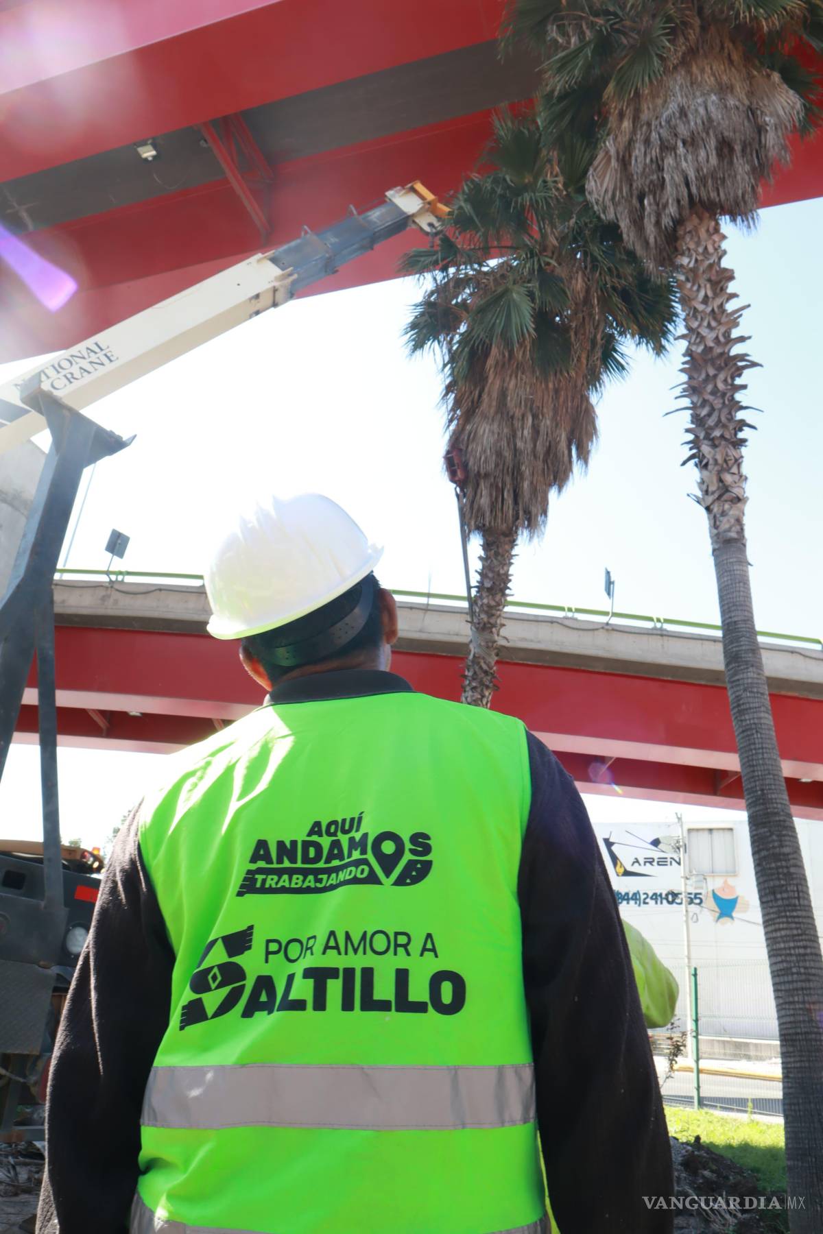 $!Los viaductos del Distribuidor El Sarape impedían que las palmas crecieran.