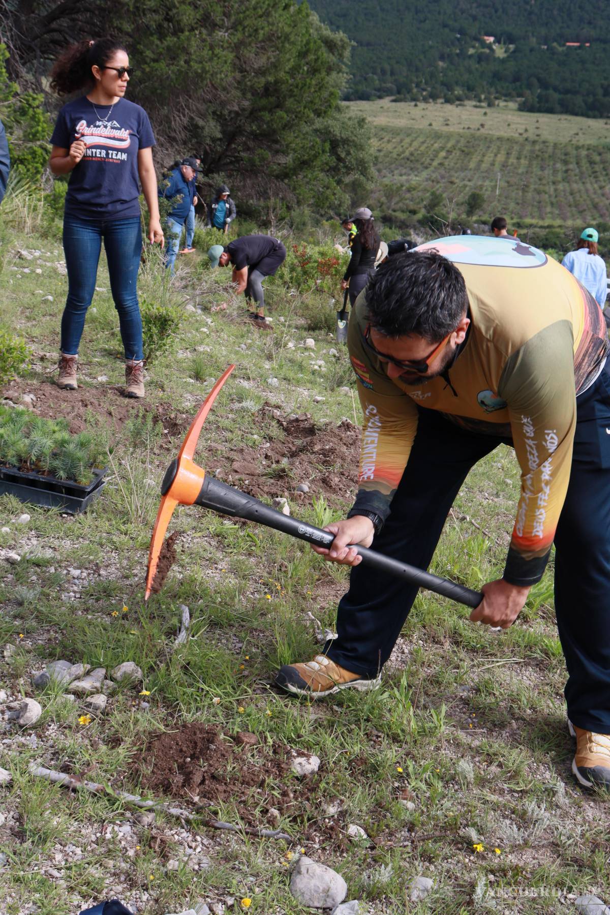 $!Colaboradores de Tupy participaron en la jornada de reforestación “Raíces de Esperanza”.