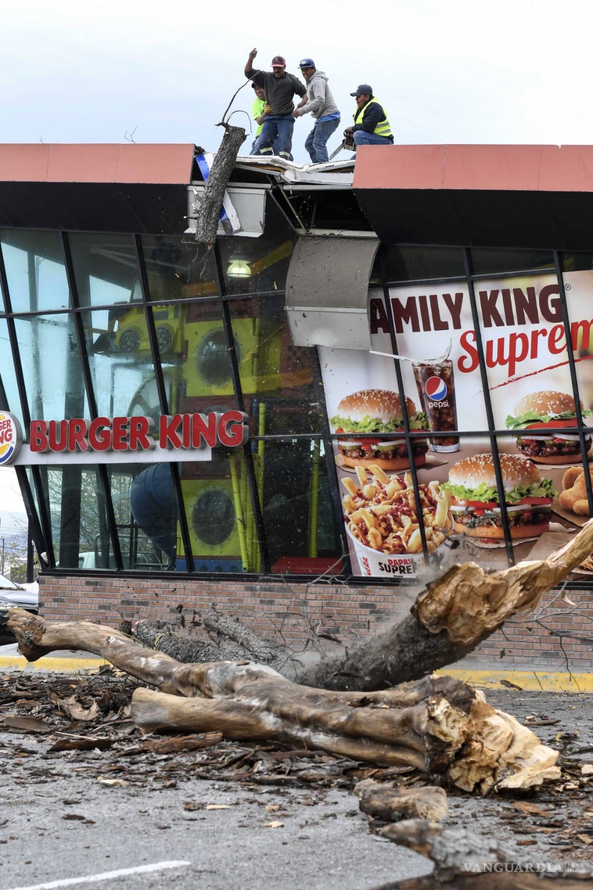 $!Árbol cae sobre restaurante en plaza comercial de Saltillo