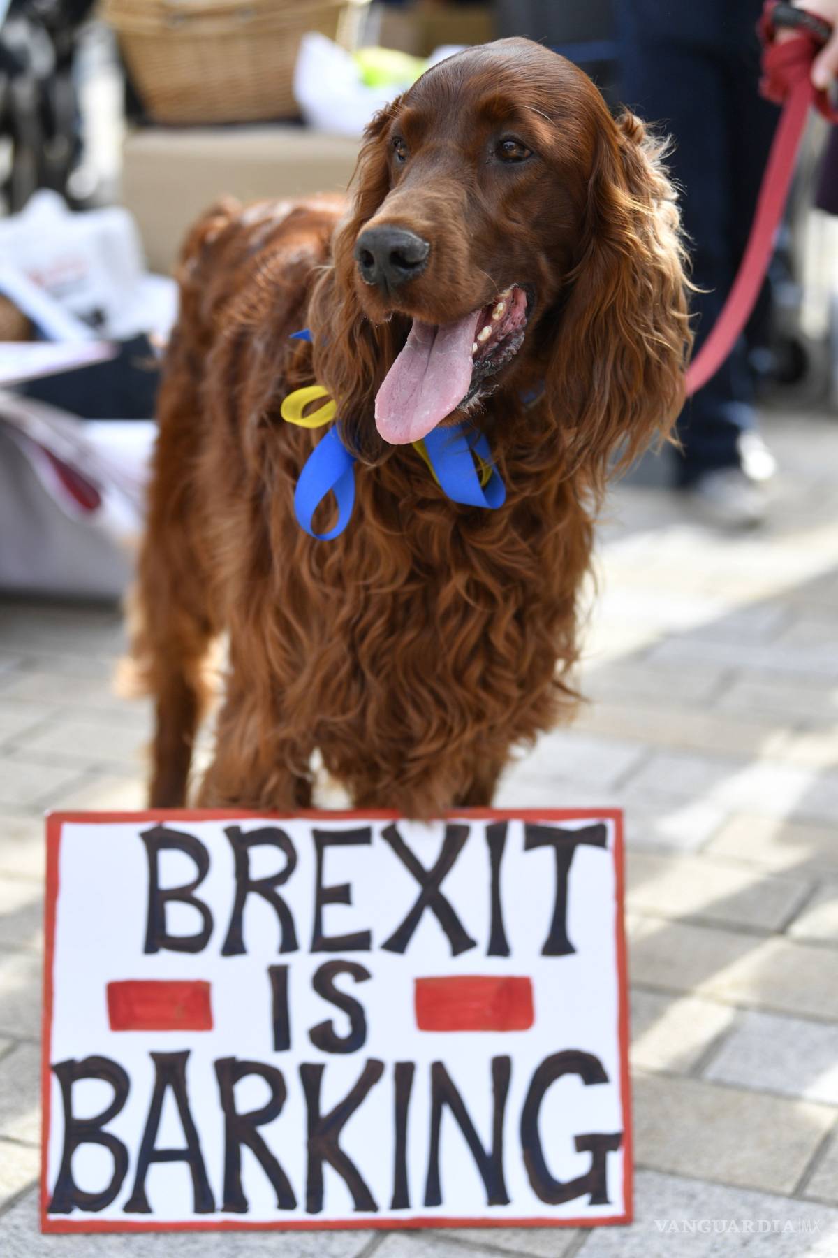 $!Cientos de perros ladran contra el "Brexit" en Londres