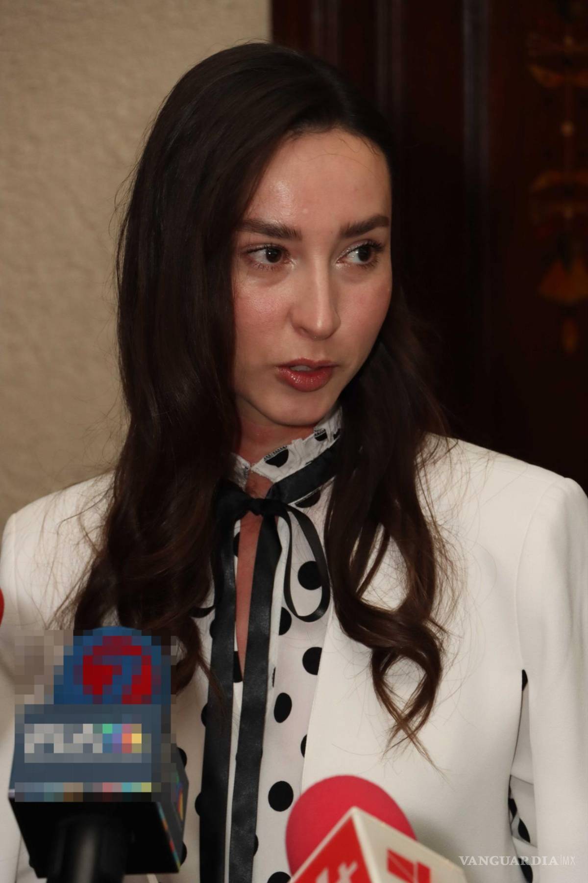 $!Precisó que sus tareas principales serán coordinar los comités de Defensa de la Cuarta Transformación en la Región Sureste.