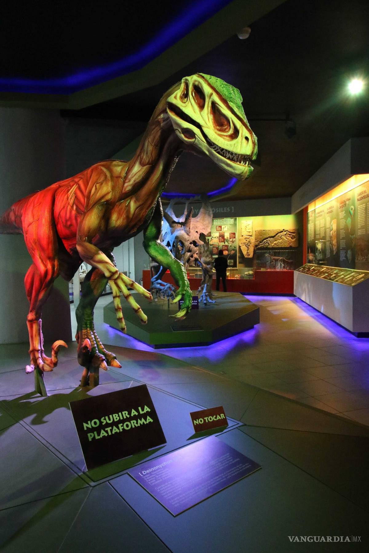 $!Museo del Desierto de Saltillo acerca a la gente a sus investigadores para que aprecien su trabajo en laboratorio