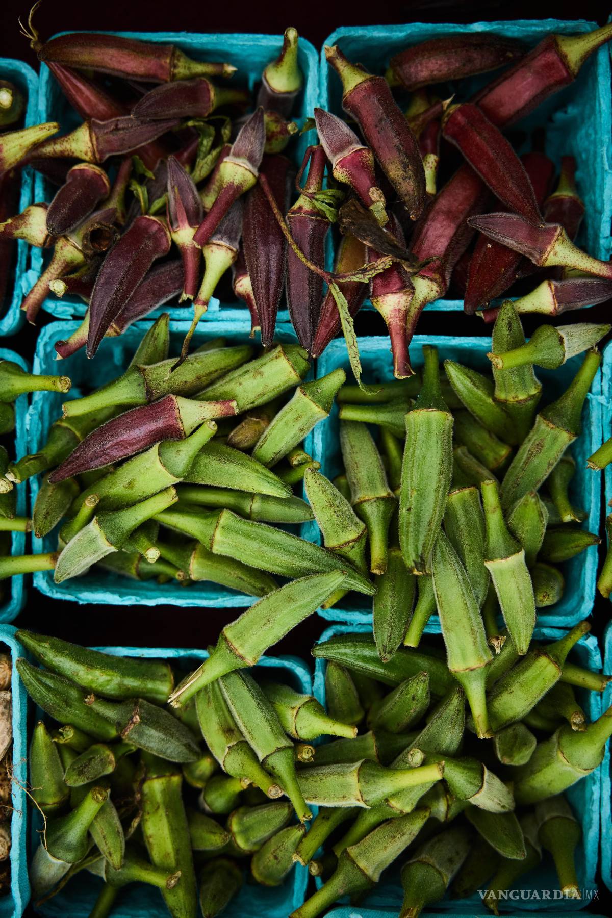$!Los arándanos rojos maduros destacan por su intenso tono carmesí, un indicador de sus potentes flavonoides que ayudan a reducir la inflamación.