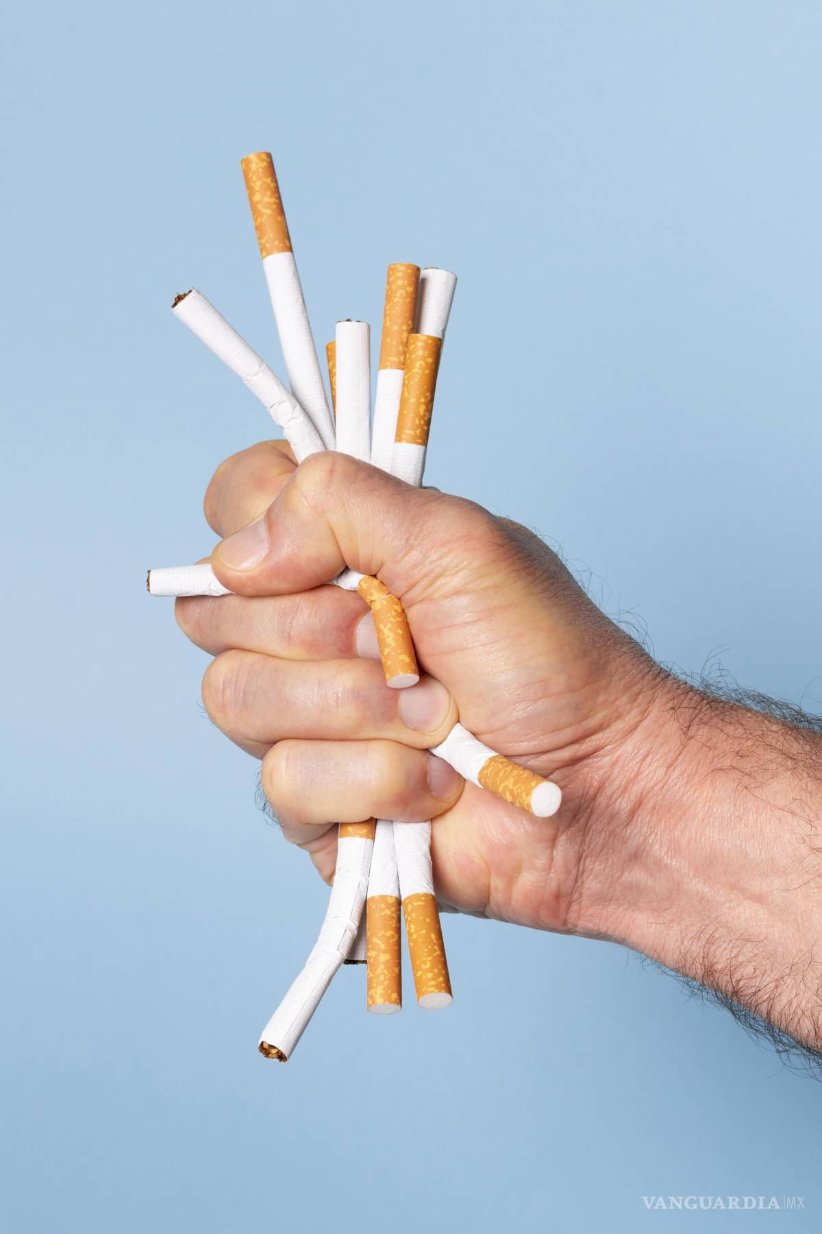 $!Fumar es la principal causa tanto de incidencia de cáncer como de mortalidad por esta enfermedad en todo el mundo.