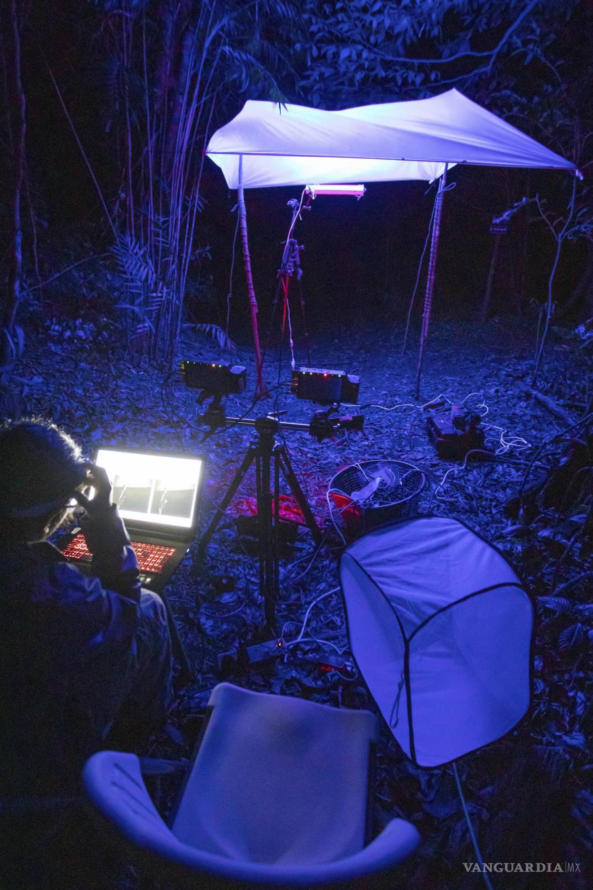 $!Esta foto de 2022 muestra los experimentos sobre el efecto de las luces artificiales en los insectos voladores silvestres en Monteverde, Costa Rica.