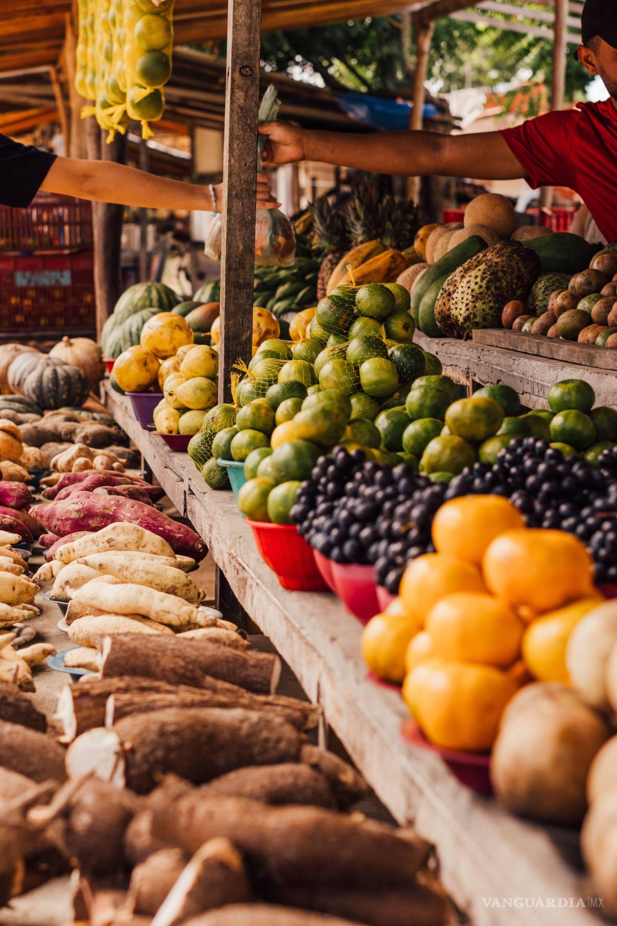 $!Frutas y verduras de temporada aportan fibra y antioxidantes para retomar los buenos hábitos.