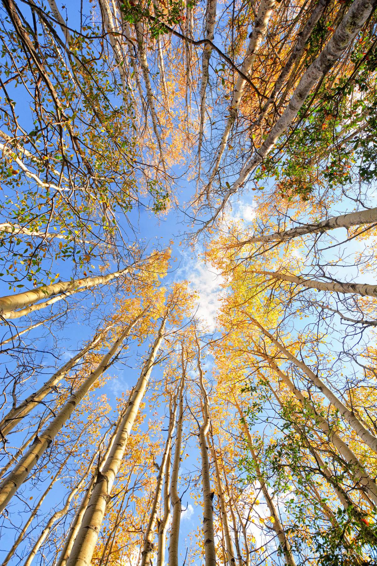 $!Presentarán paisajes naturales y lecturas en Las Delicias de mi General: La Efigenia