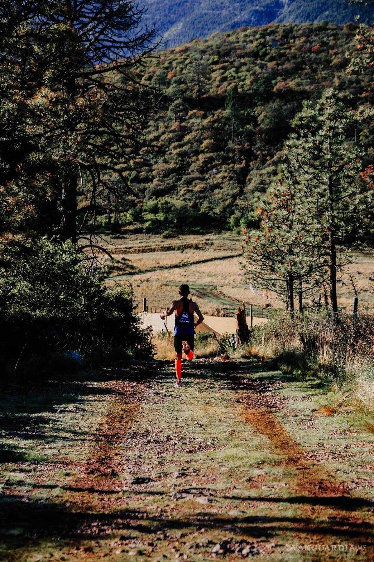 $!Corredor participante en la carrera trail Eco Mountain Race.