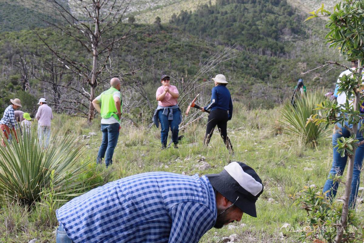 $!Tupy refrenda su compromiso de responsabilidad social y ambiental en México y Brasil.