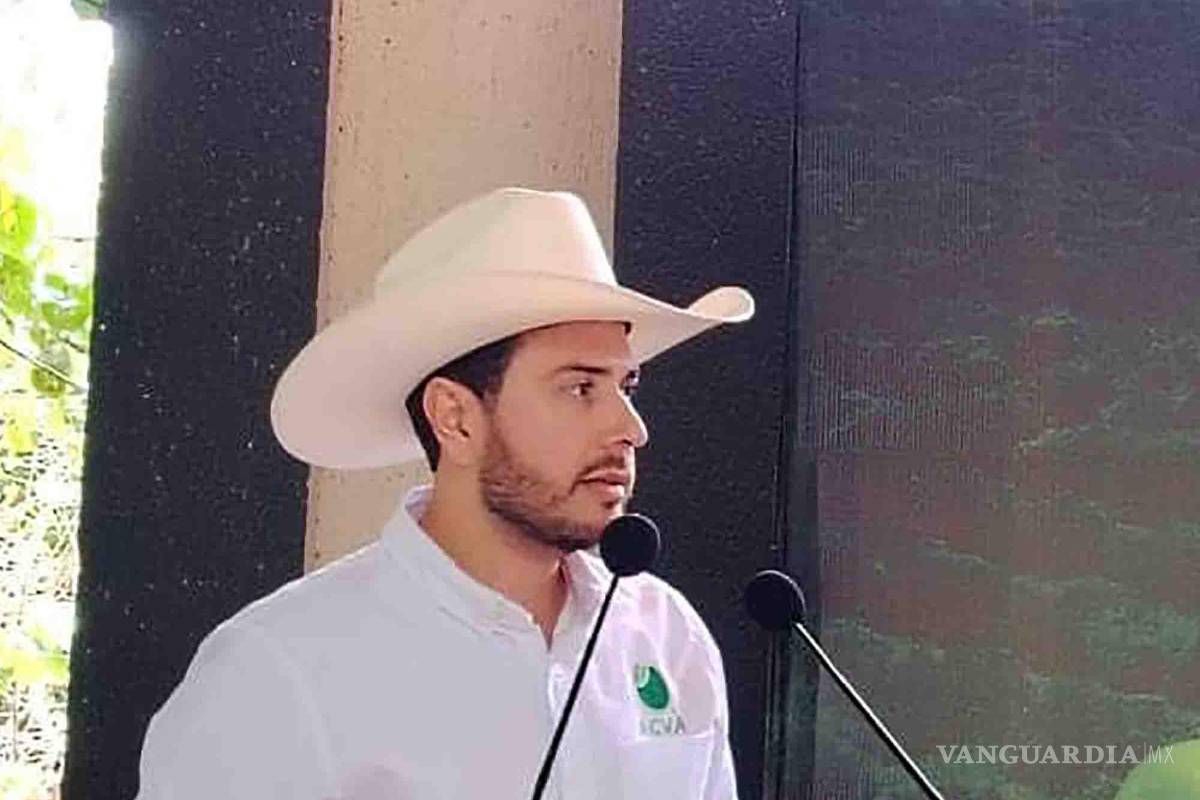 Lamentan productores citrícolas que no pagar extorsiones al crimen organizado, es una sentencia de muerte