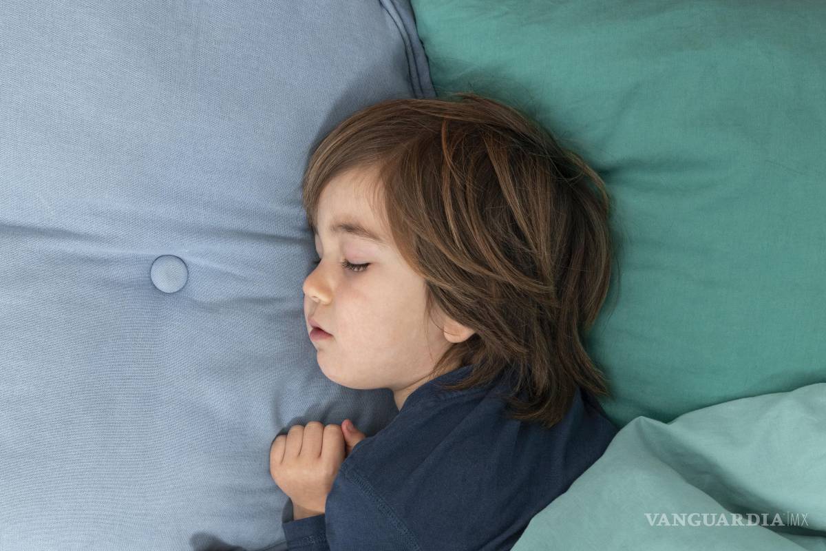 $!El descanso adecuado favorece la atención en clase y mejor manejo de emociones.