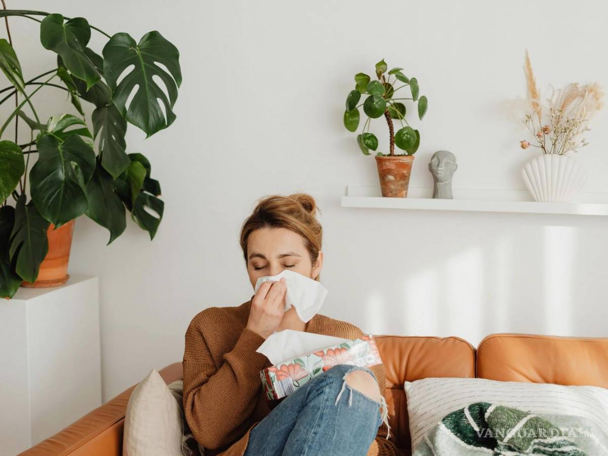 $!Las reacciones alérgicas pueden producirse en interiores.