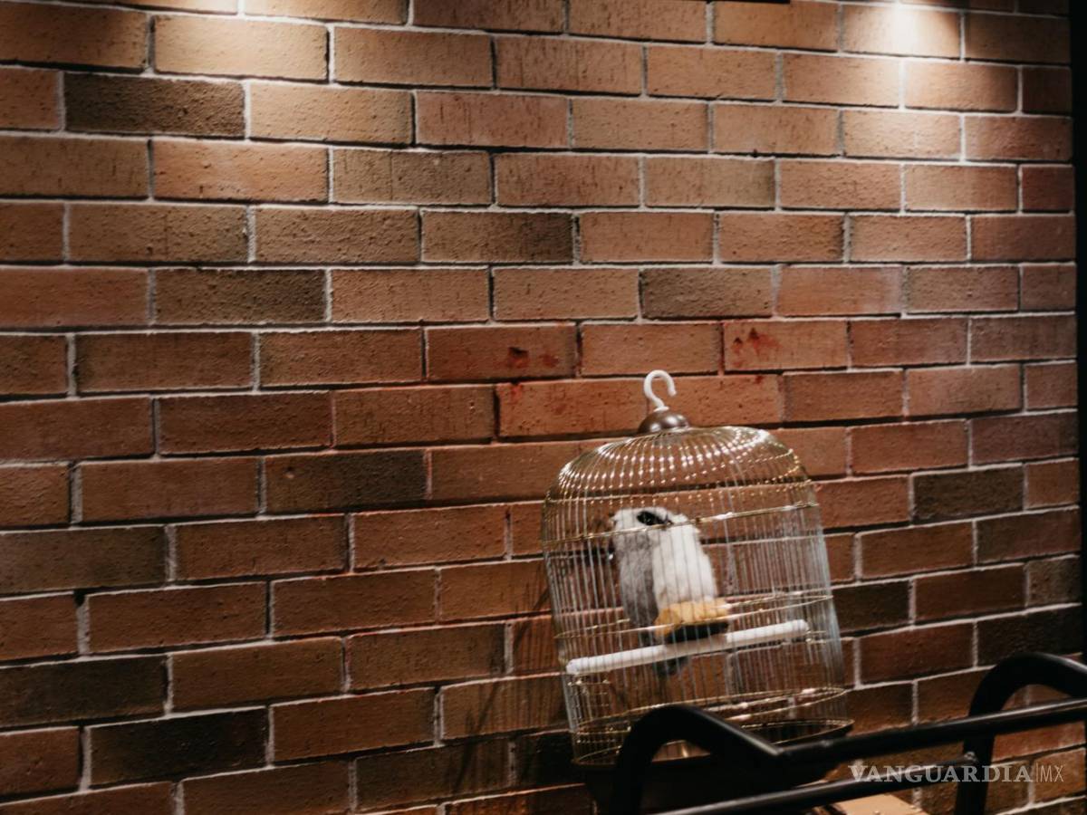 $!En la estación King’s Cross de Londres, existe un espacio dedicado a los fans de la franquicia.