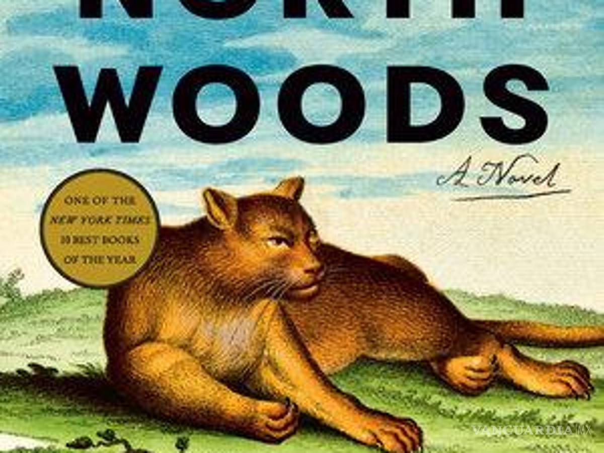 $!North Woods de Daniel Mason