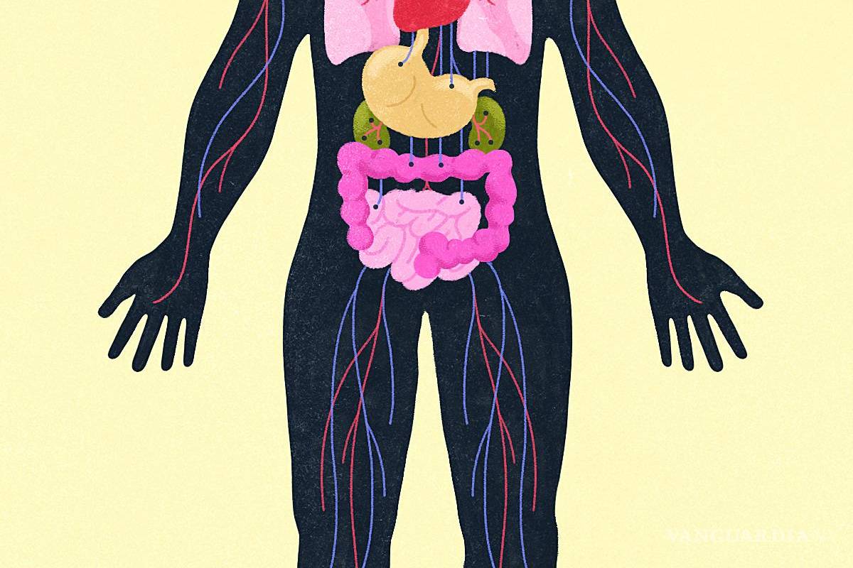 Las maneras tan devastadoras en que la ansiedad y la depresión afectan el cuerpo