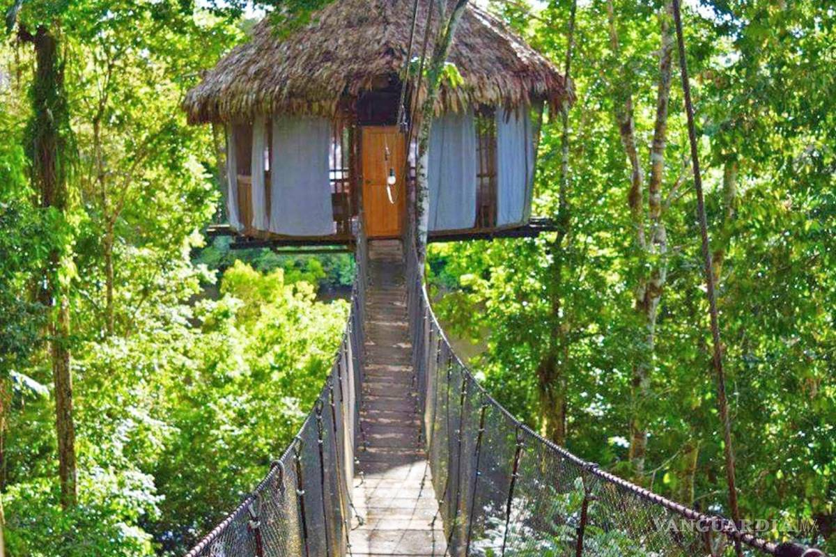 $!Estos son los hoteles más curiosos