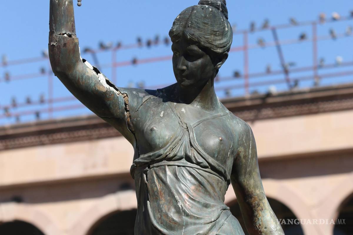 Requieren ninfas de cirugía mayor