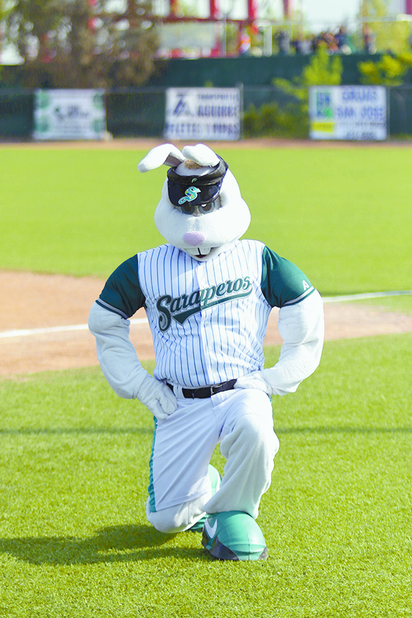 Todos a votar por Kike Conejo en la Final de mascotas