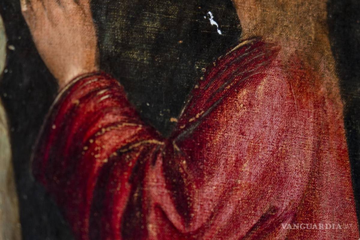 Renacentista Vittore Carpaccio es ensalzado en exhibiciones en Italia y Estados Unidos