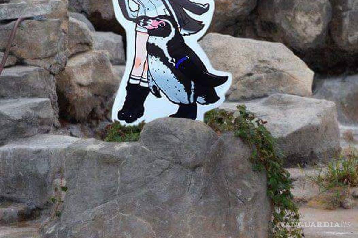 $!Murió Grape-Kun, el pingüino que se enamoró de una chica animé