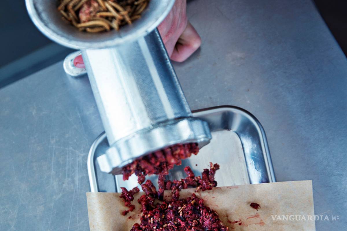 $!Hamburguesas de gusanos es la moda de la comida rápida del futuro