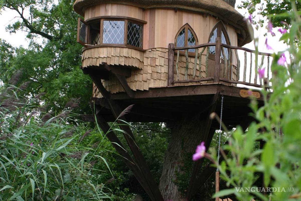 Viviendo en un &quot;nido&quot;