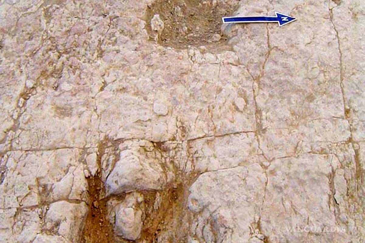 $!Hallan cerca de Saltillo huellas de dinosaurio que datan de hace 90 millones de años