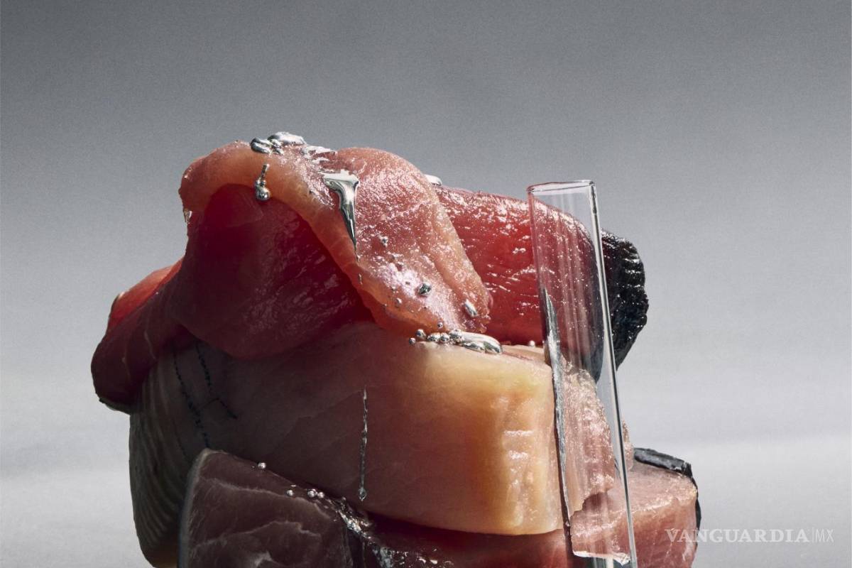 La verdad sobre el atún