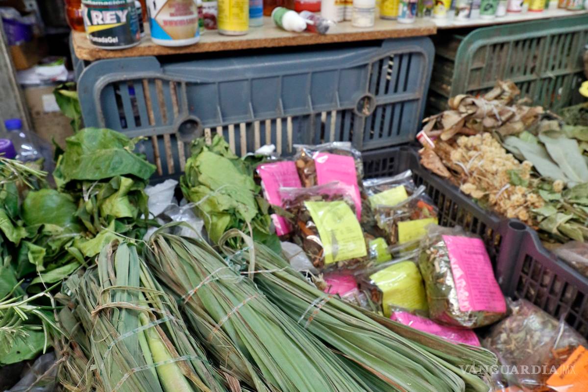 Se populariza venta de hojas de guayaba para curar el COVID aunque no hay registros científicos de esto