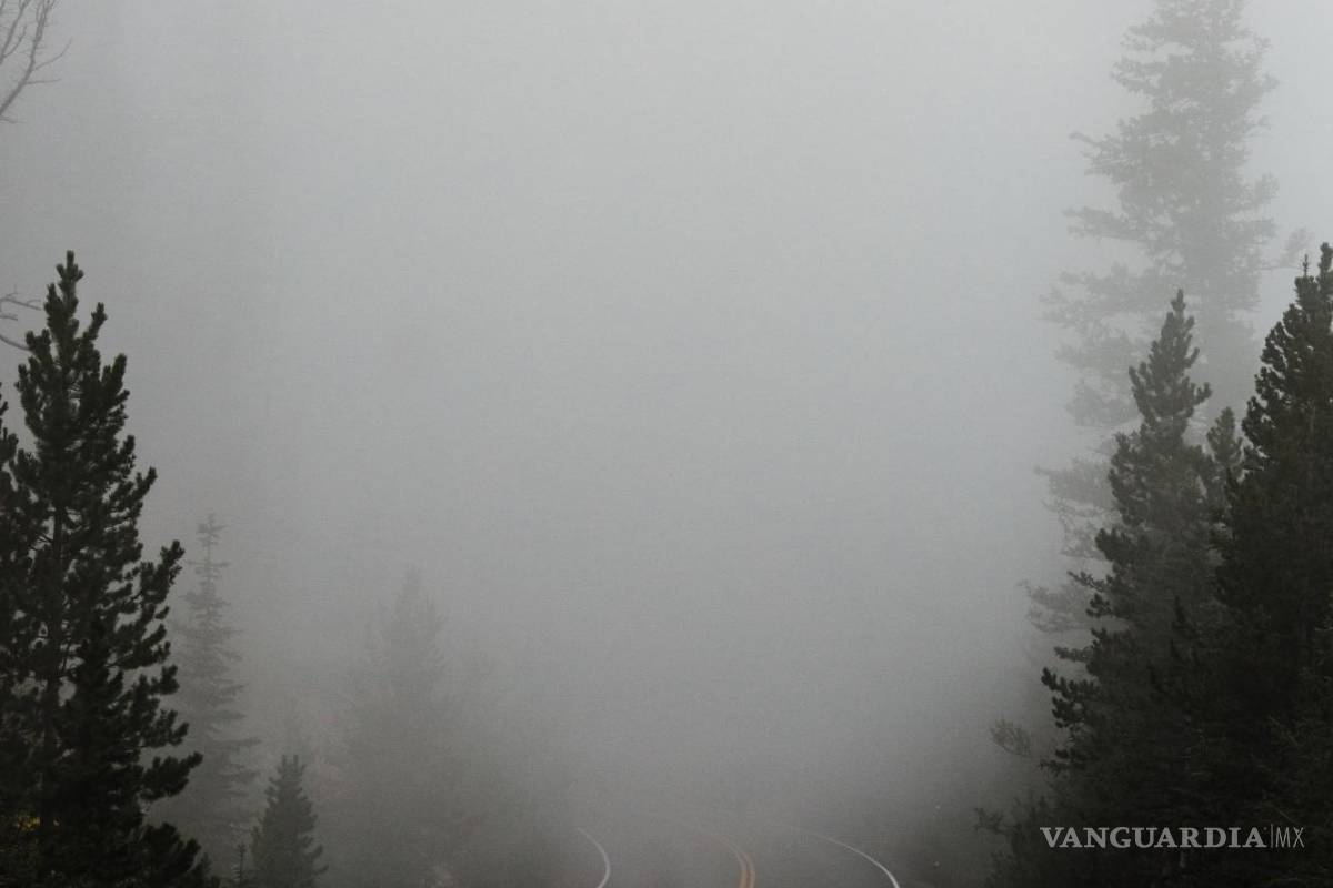 ¿Qué es y cómo se forma la neblina?