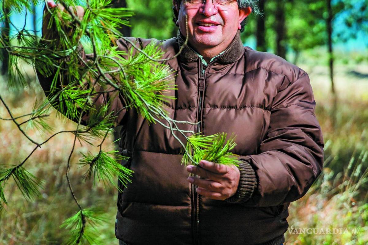 Eladio Cornejo: Desde la trinchera forestal