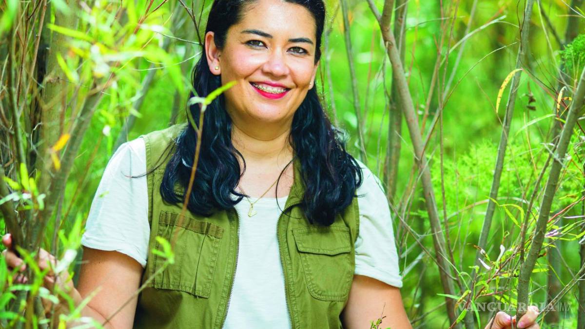 Violetta Farías: A limpiar por México