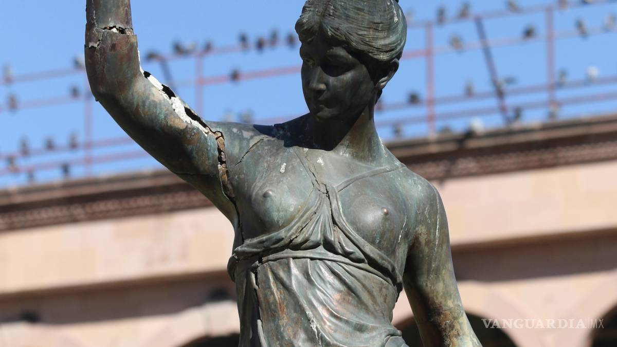 Requieren ninfas de cirugía mayor