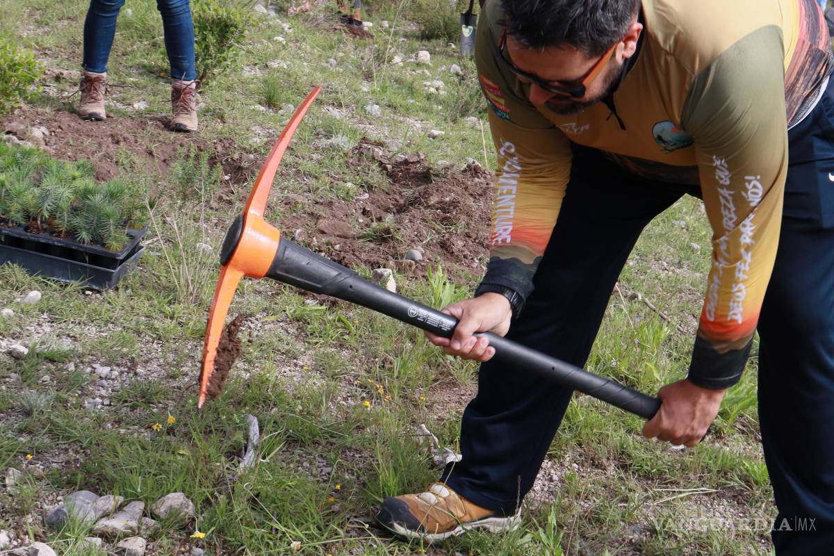 $!Colaboradores de Tupy participaron en la jornada de reforestación “Raíces de Esperanza”.