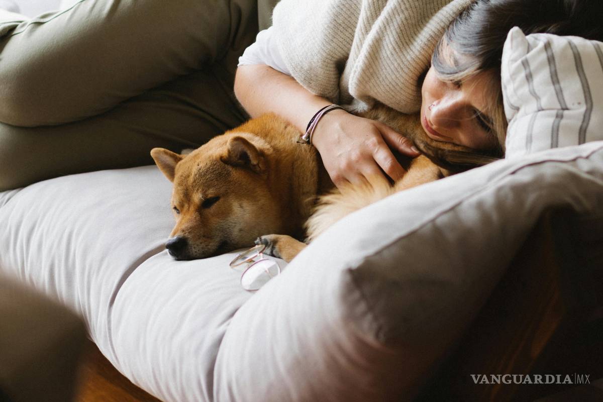 $!Dormir la siesta ya no es solo una costumbre cultural ni un lujo del fin de semana.