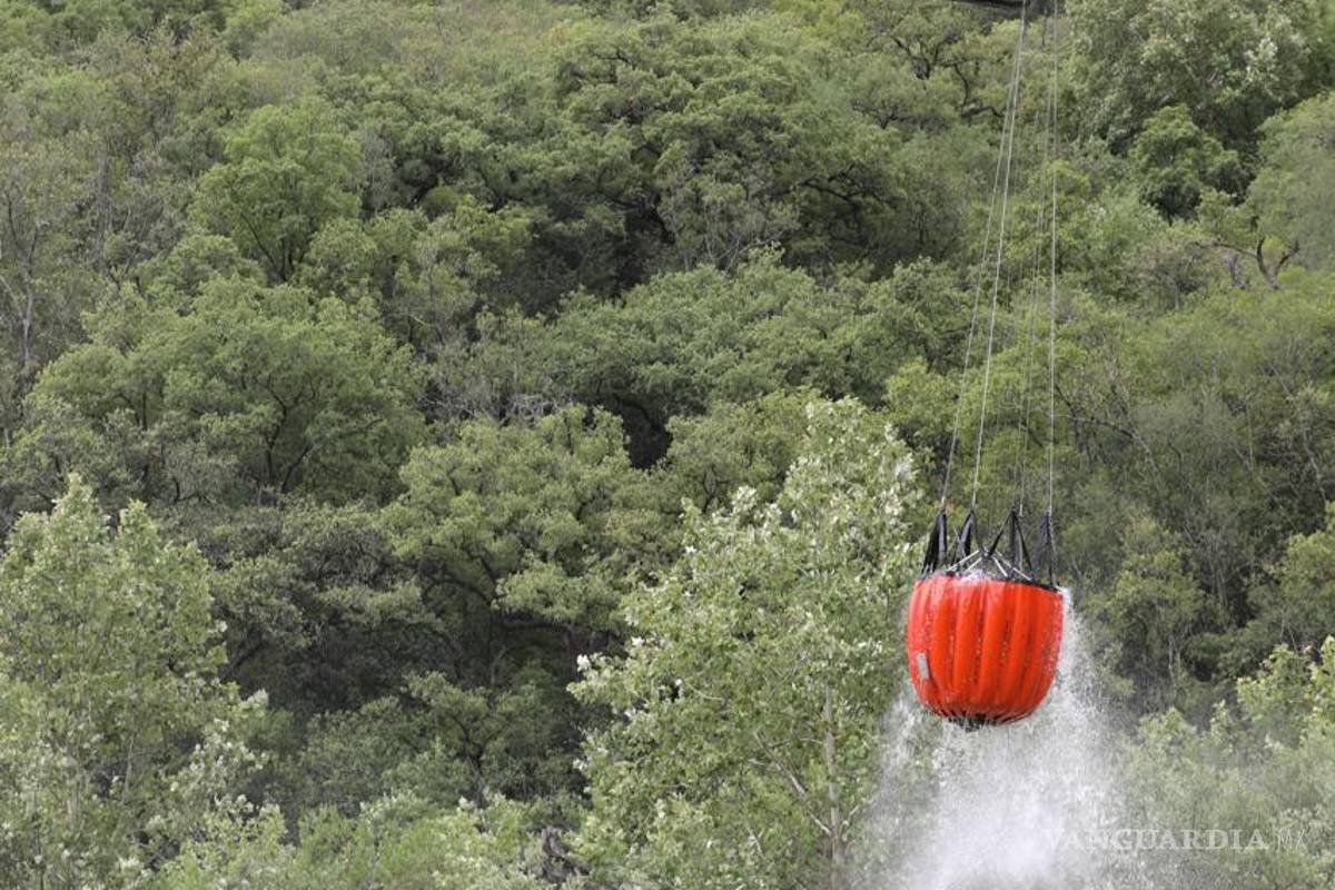 Incendio forestal en “El Diente”, en Nuevo León, tiene una liquidación del 95%