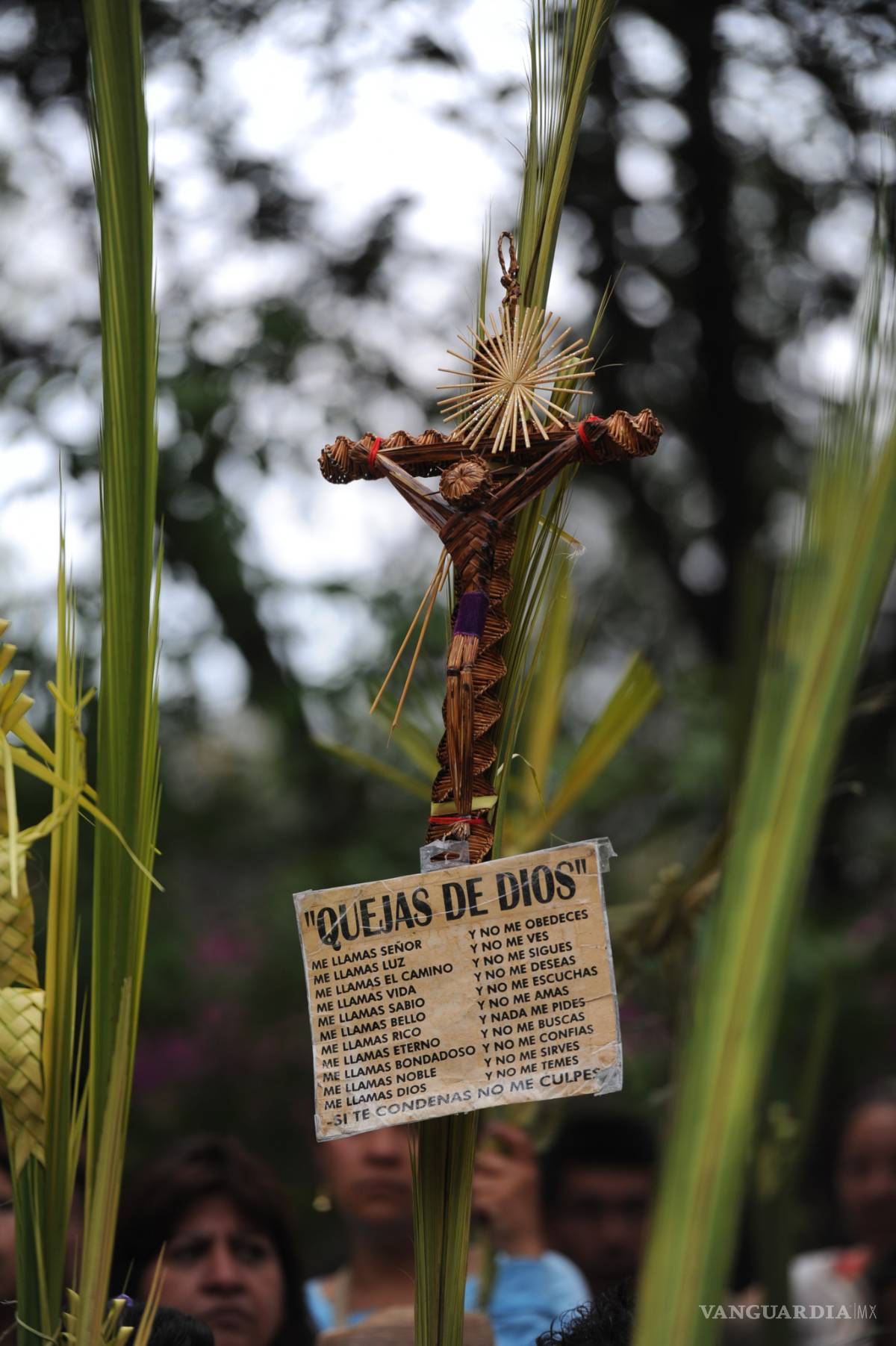 $!7 datos sobre el Domingo de Ramos (Fotogalería)