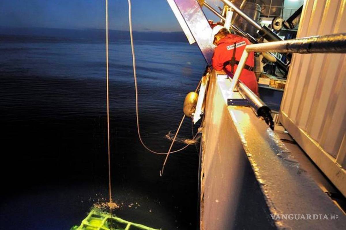 $!Encuentran la caja negra del avión de Egyptair siniestrado en el Mediterráneo