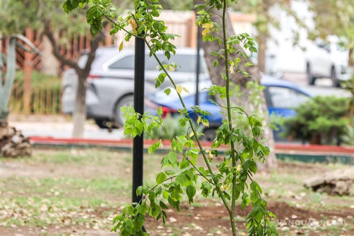 $!La colaboración entre empresas y autoridades municipales para rehabilitar y adoptar espacios públicos es una opción viable-.