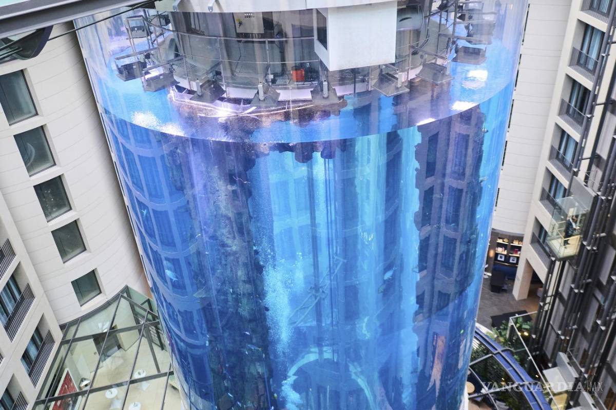 Revienta acuario cilíndrico gigante en Alemania