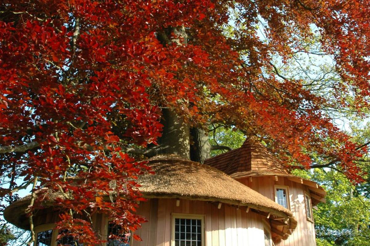 $!Viviendo en un "nido"