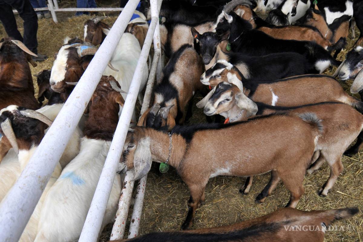 Ofrecen a pequeños productores de Coahuila créditos por 2 mil millones de pesos