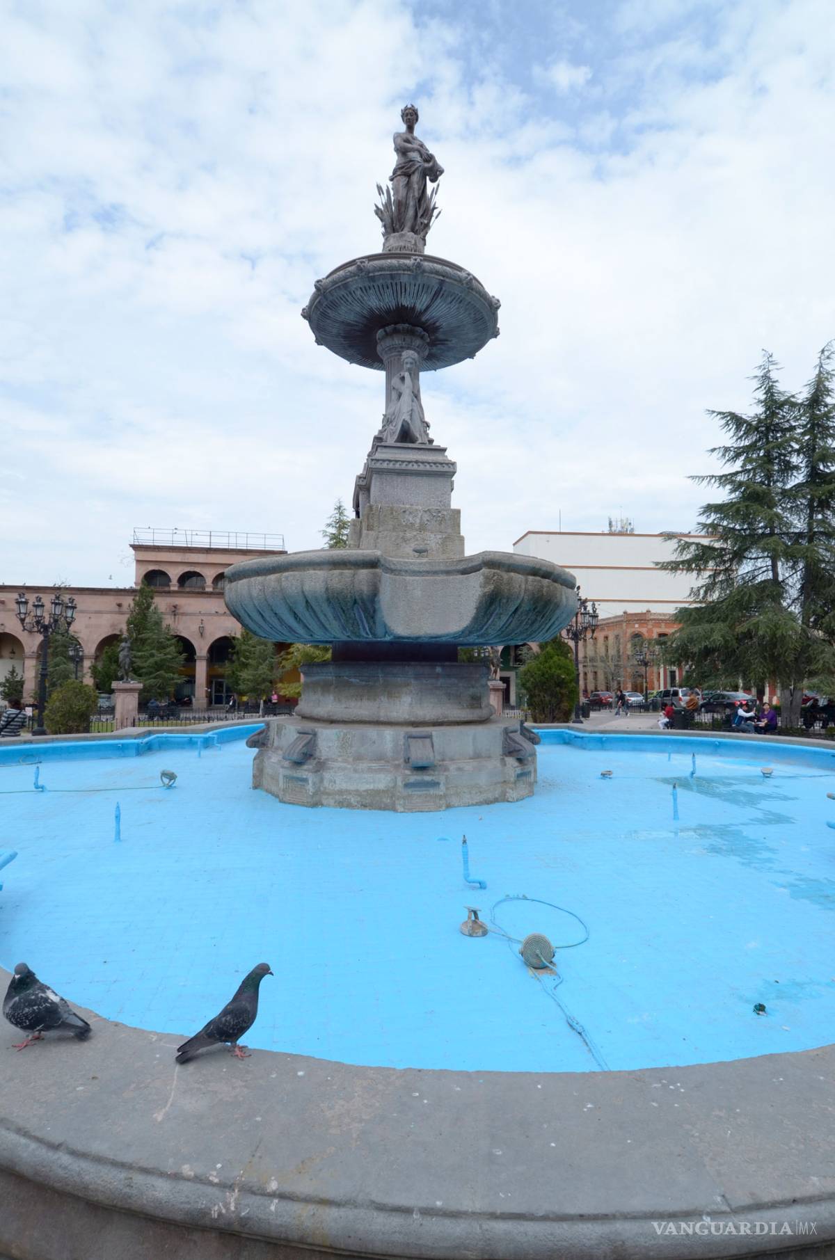 $!Palomas no tienen agua que beber porque fuentes públicas de Saltillo no funcionan