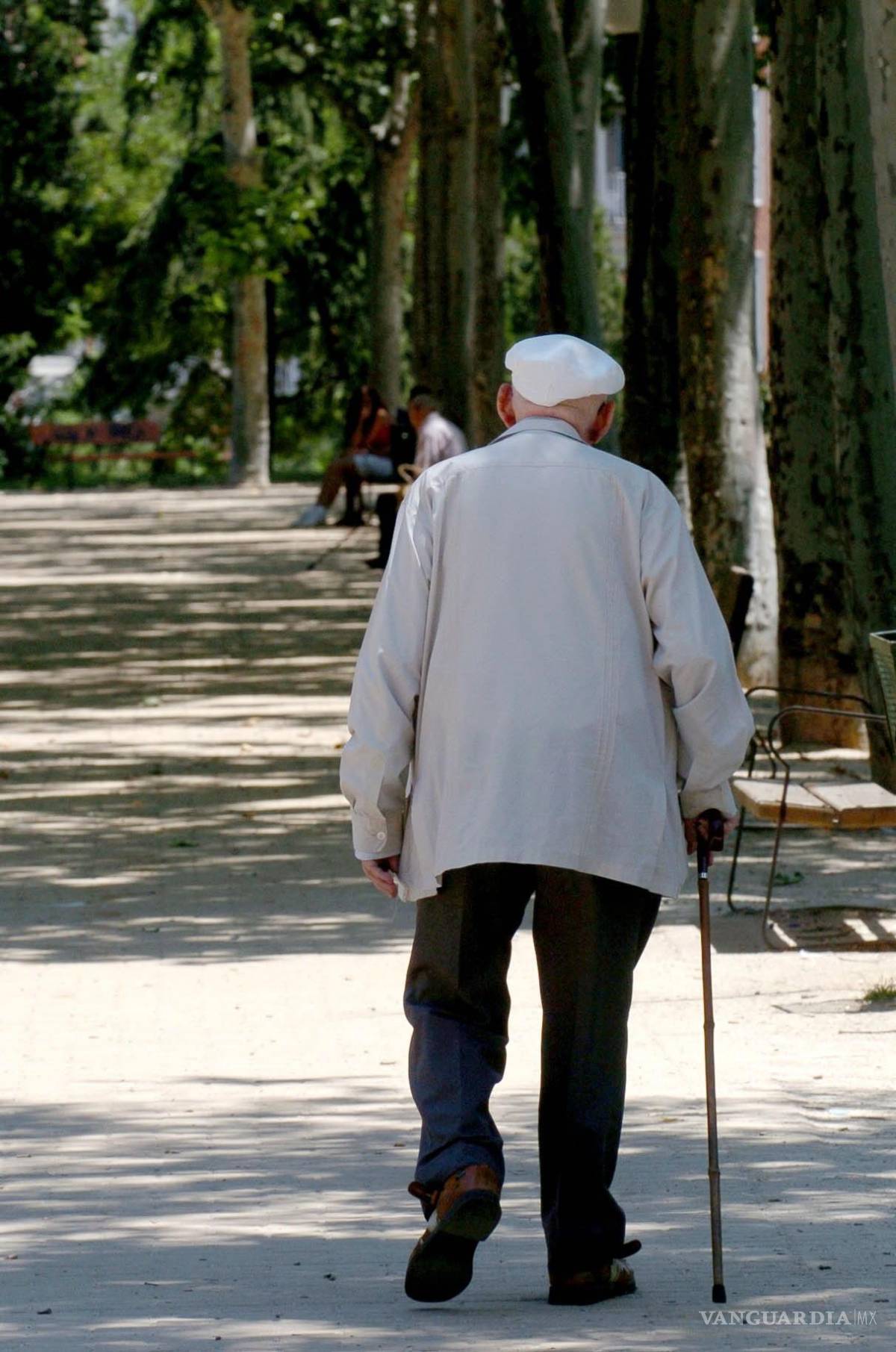 $!El Alzheimer es una enfermedad que sufre un gran porcentaje de adultos mayores.