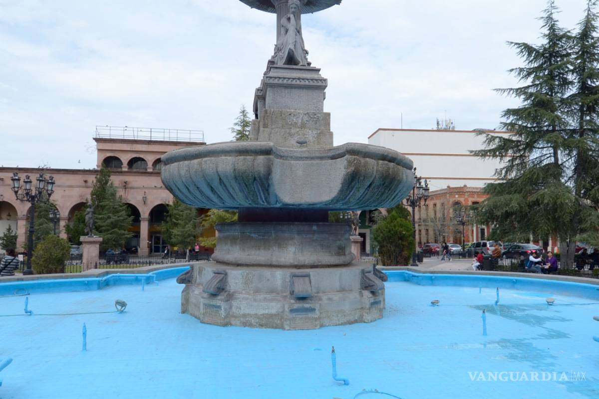 $!Palomas no tienen agua que beber porque fuentes públicas de Saltillo no funcionan