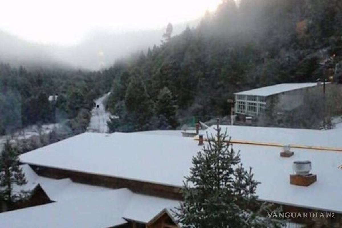 Reportan primera nevada en la Sierra de Arteaga